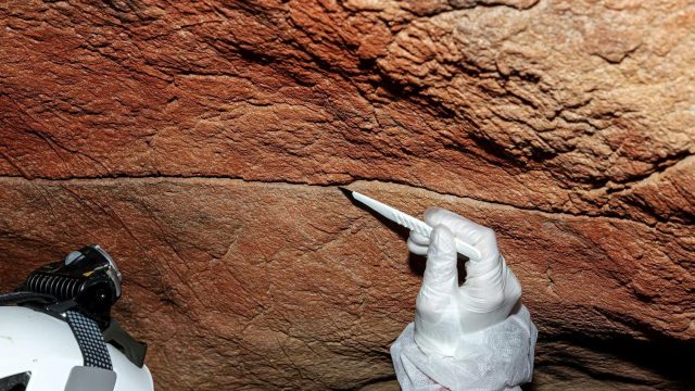 Ancient DNA Unearthed: New Insights into Human History from Cave Walls | bos89, ukuran ring basket n