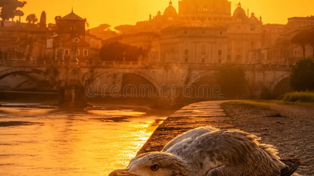 Europe Faces Extreme Heat: How It Impacts Wildlife and Communities | online casino bonus with no dep