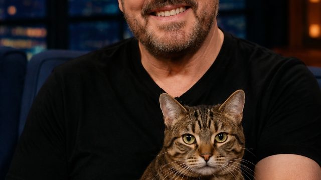 Ricky Gervais' New Show Purrs into the Spotlight for Cat Lovers | free slot games with bonus feature